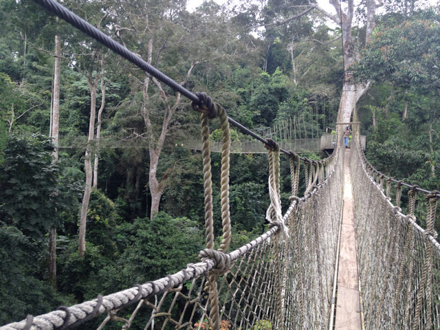 Kakum Walkway
